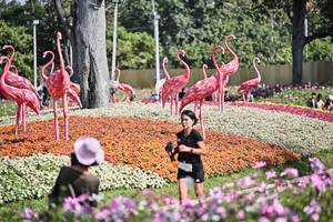 BIB: 
                            <button type="button" onclick="openModal(27793773)" class="btn btn-primary btn-sm float-right btn-popup" data-toggle="modal" data-target=".modal-high-quality">
                        <i class="fas fa-shopping-cart"></i> Add to Cart
                    </button>
                                            <button type="button" onclick="isThisMe(27793773, true)" class="btn btn-success btn-sm float-right btn-popup btn-isme hidden" data-toggle="tooltip" data-placement="bottom" title="นี่คือรูปของคุณใช่ไหม คลิกที่นี่เพื่อเอาเข้าอัลบั้ม">
                        <i class="fas fa-plus"></i> Add to album
                    </button>
                    <button type="button" onclick="isThisMe(27793773, false)" class="btn btn-warning btn-sm float-right btn-popup btn-isnotme hidden">
                        <i class="fas fa-ban"></i> Remove from album
                    </button>